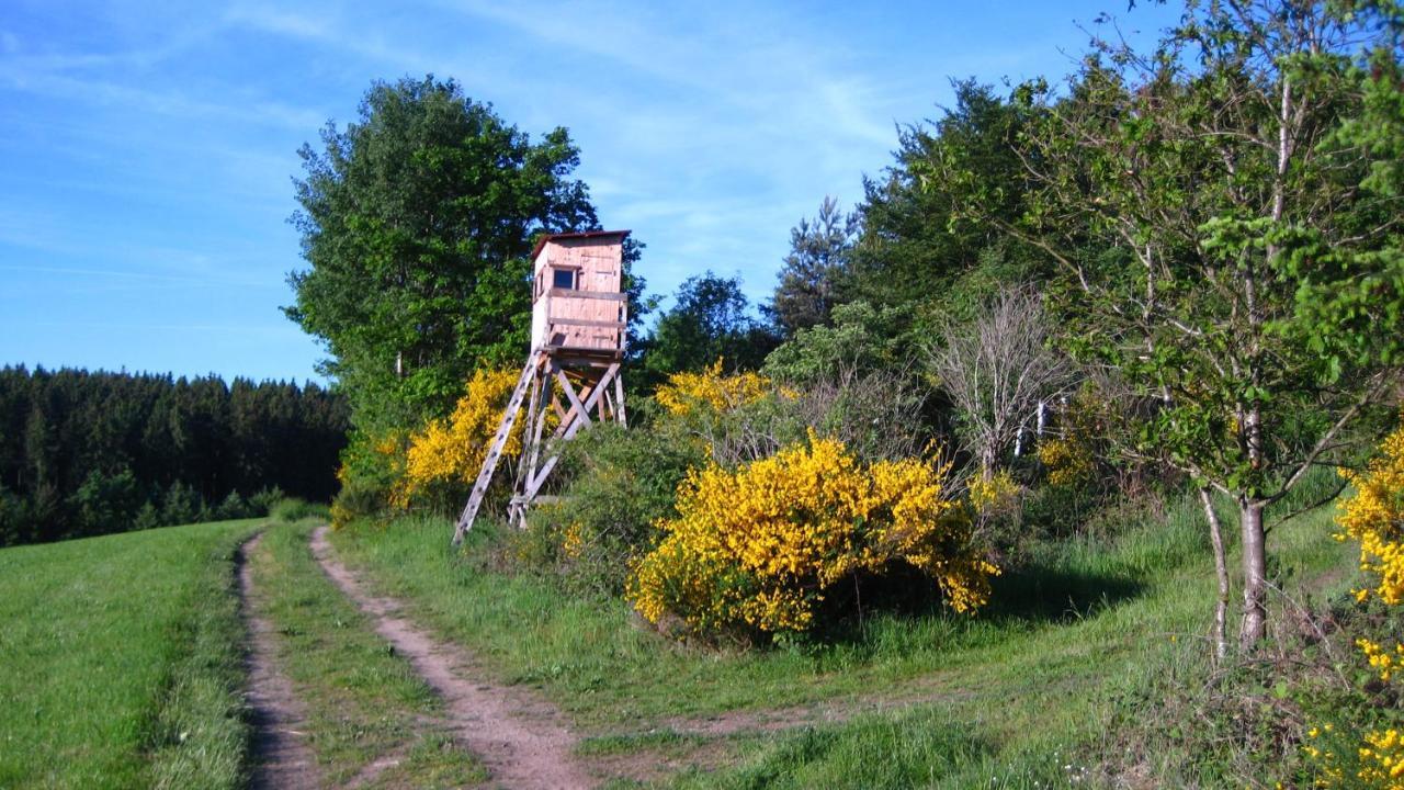 Gaestezimmer Waldblick *
